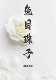 鱼目混珠小说